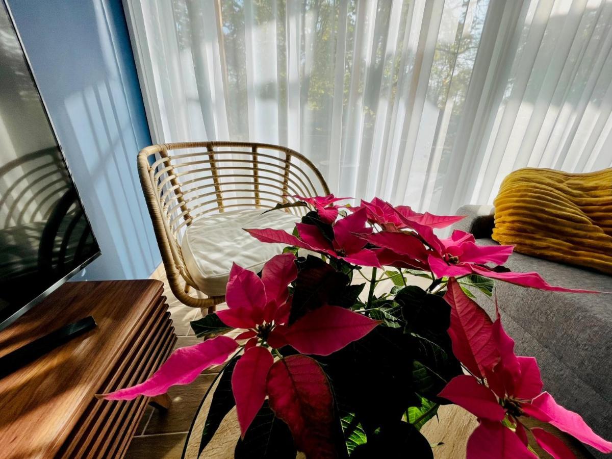 Aranygesztenye Apartmanház Balatonudvari Esterno foto