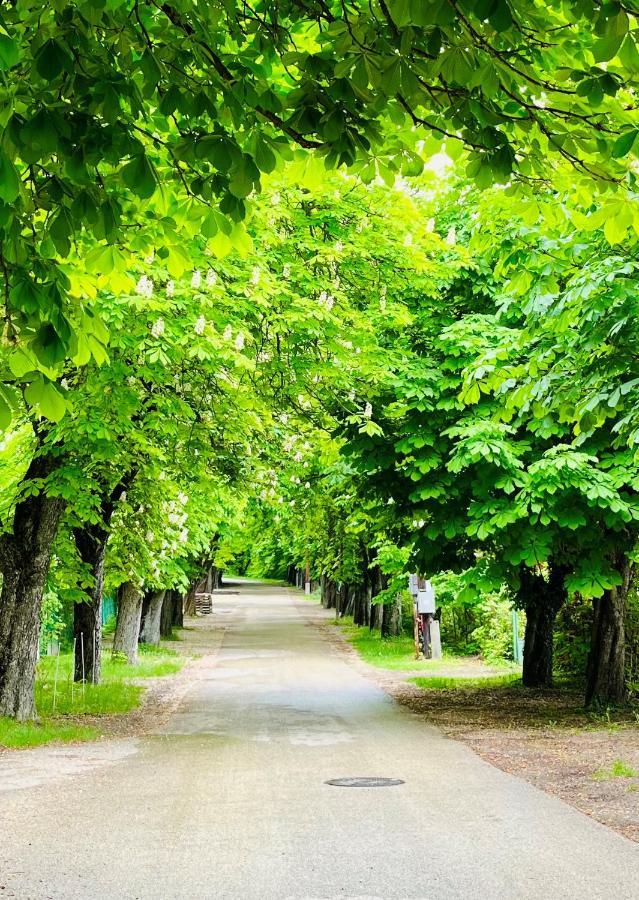Aranygesztenye Apartmanház Balatonudvari Esterno foto